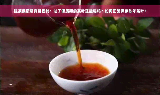 陈茶保质期真相揭秘：过了保质期的茶叶还能喝吗？如何正确保存陈年茶叶？