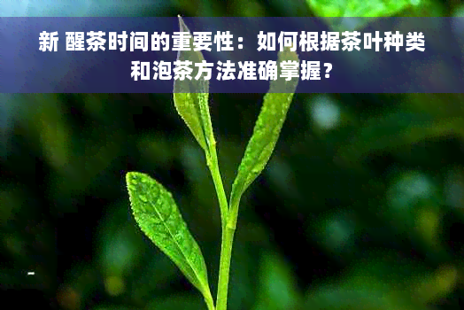 新 醒茶时间的重要性：如何根据茶叶种类和泡茶方法准确掌握？