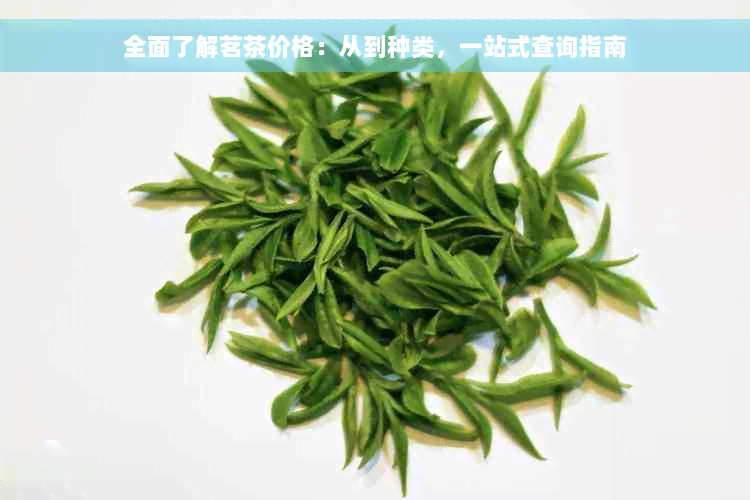 全面了解茗茶价格：从到种类，一站式查询指南