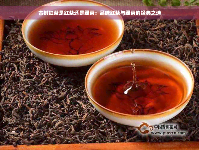 古树红茶是红茶还是绿茶：品味红茶与绿茶的经典之选