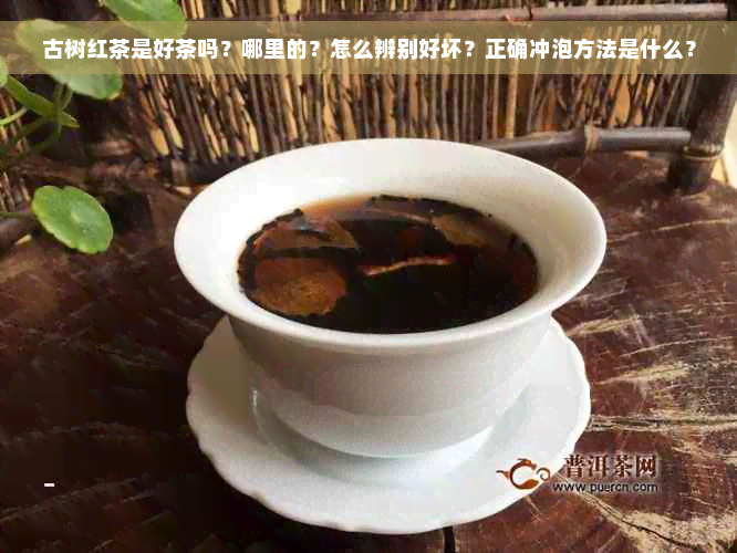 古树红茶是好茶吗？哪里的？怎么辨别好坏？正确冲泡方法是什么？