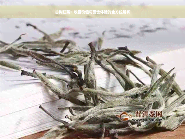 古树红茶：收藏价值与品饮体验的全方位解析