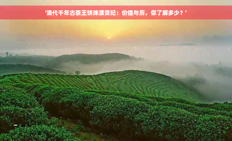 '清代千年古茶王饼珠源贵妃：价值与历，你了解多少？'