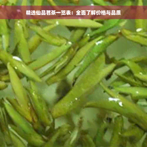 精选仙品茗茶一览表：全面了解价格与品质