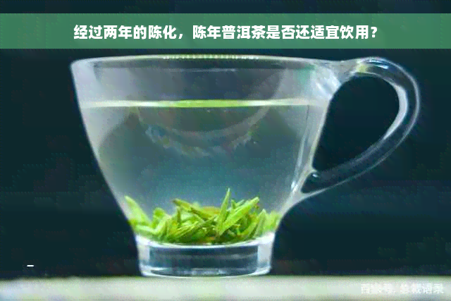 经过两年的陈化，陈年普洱茶是否还适宜饮用？