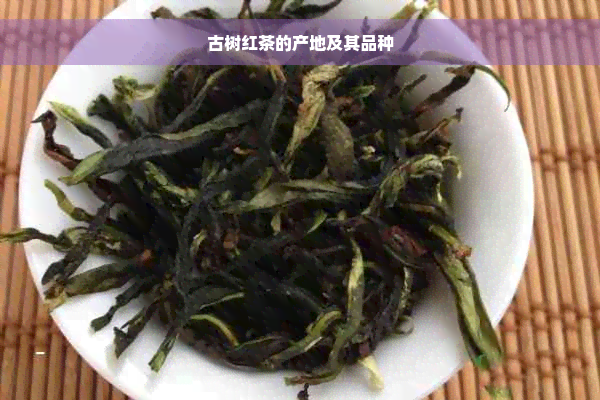 古树红茶的产地及其品种