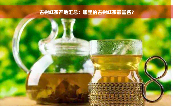 古树红茶产地汇总：哪里的古树红茶最富名？