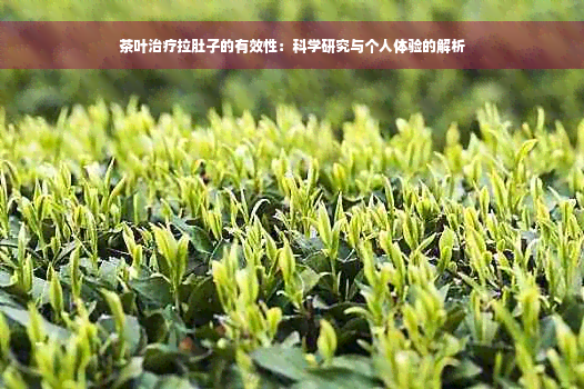 茶叶治疗拉肚子的有效性：科学研究与个人体验的解析