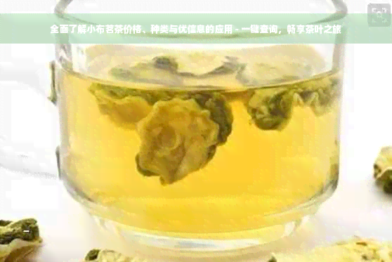 全面了解小布茗茶价格、种类与优信息的应用 - 一键查询，畅享茶叶之旅