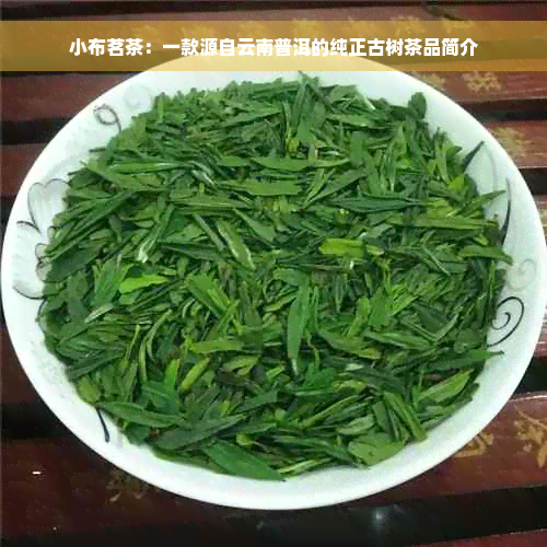 小布茗茶：一款源自云南普洱的纯正古树茶品简介