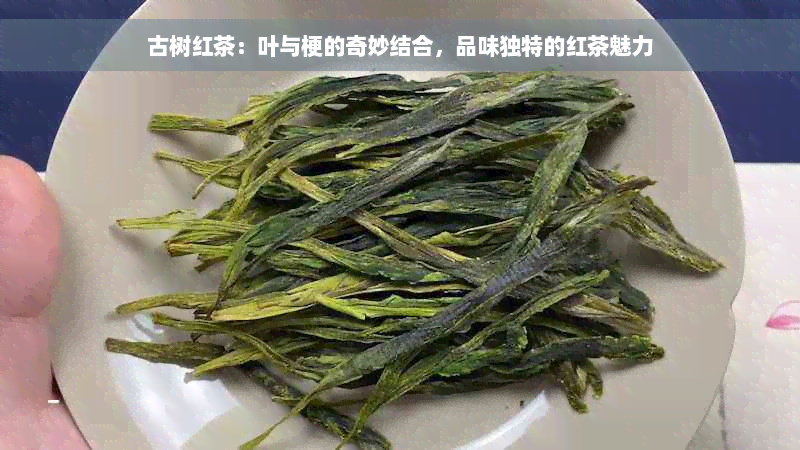 古树红茶：叶与梗的奇妙结合，品味独特的红茶魅力