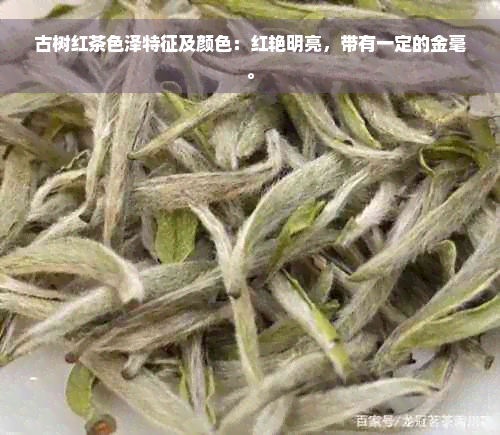 古树红茶色泽特征及颜色：红艳明亮，带有一定的金毫。