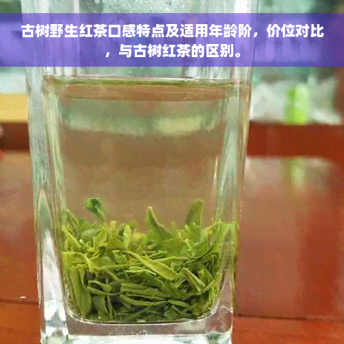 古树野生红茶口感特点及适用年龄阶，价位对比，与古树红茶的区别。