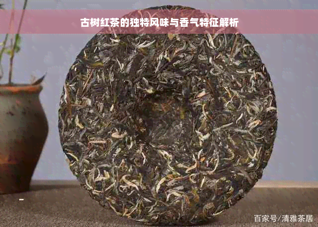 古树红茶的独特风味与香气特征解析