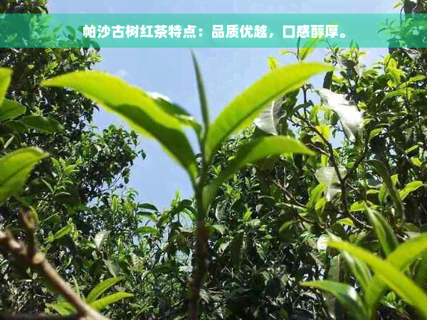 帕沙古树红茶特点：品质优越，口感醇厚。