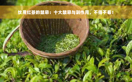 饮用红茶的禁忌：十大禁忌与副作用，不得不看！