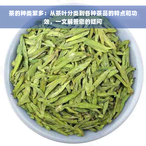 茶的种类繁多：从茶叶分类到各种茶品的特点和功效，一文解答您的疑问