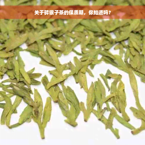 关于碎银子茶的保质期，你知道吗？