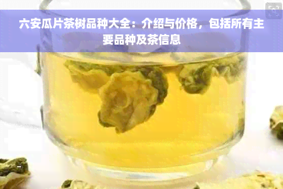 六安瓜片茶树品种大全：介绍与价格，包括所有主要品种及茶信息