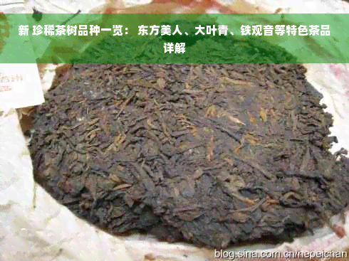 新 珍稀茶树品种一览： 东方美人、大叶青、铁观音等特色茶品详解