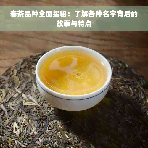 春茶品种全面揭秘：了解各种名字背后的故事与特点