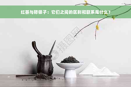 红茶与碎银子：它们之间的区别和联系是什么？