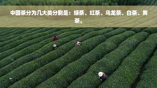 中国茶分为几大类分别是：绿茶、红茶、乌龙茶、白茶、黄茶。