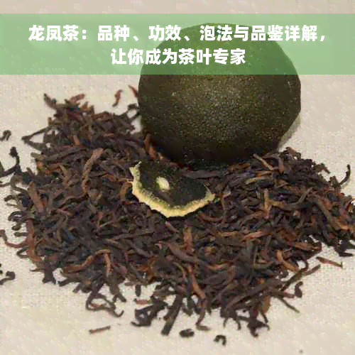 龙凤茶：品种、功效、泡法与品鉴详解，让你成为茶叶专家