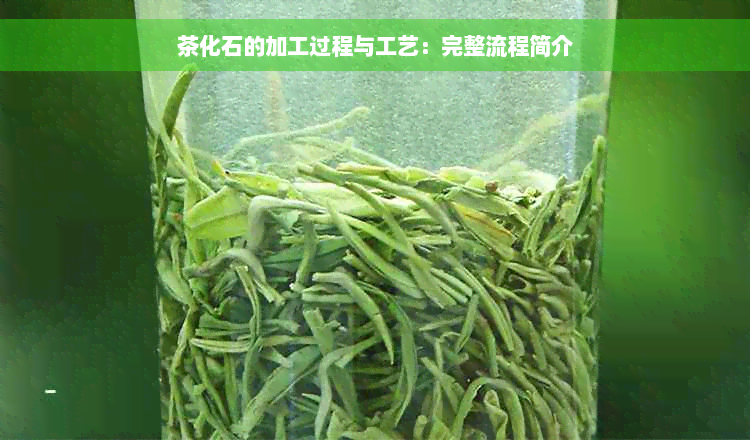 茶化石的加工过程与工艺：完整流程简介