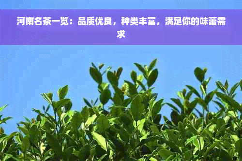 河南名茶一览：品质优良，种类丰富，满足你的味蕾需求