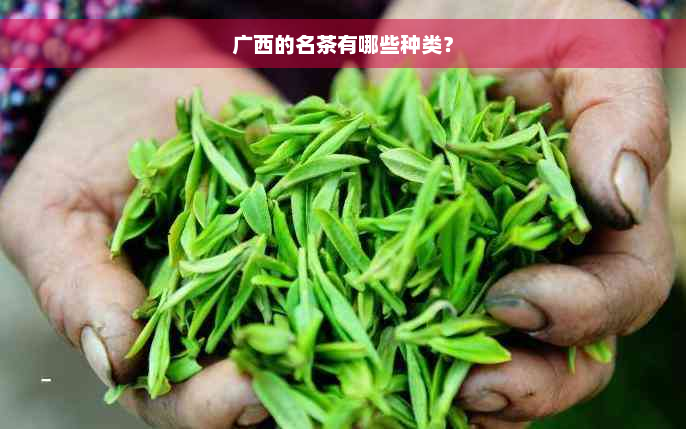 广西的名茶有哪些种类？