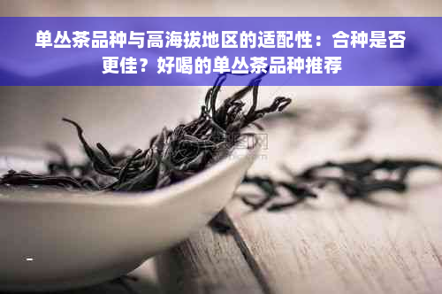 单丛茶品种与高海拔地区的适配性：合种是否更佳？好喝的单丛茶品种推荐