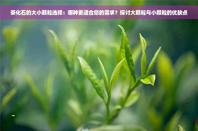 茶化石的大小颗粒选择：哪种更适合您的需求？探讨大颗粒与小颗粒的优缺点