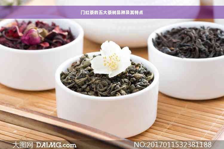 门红茶的五大茶树品种及其特点