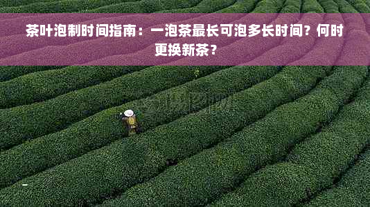 茶叶泡制时间指南：一泡茶最长可泡多长时间？何时更换新茶？