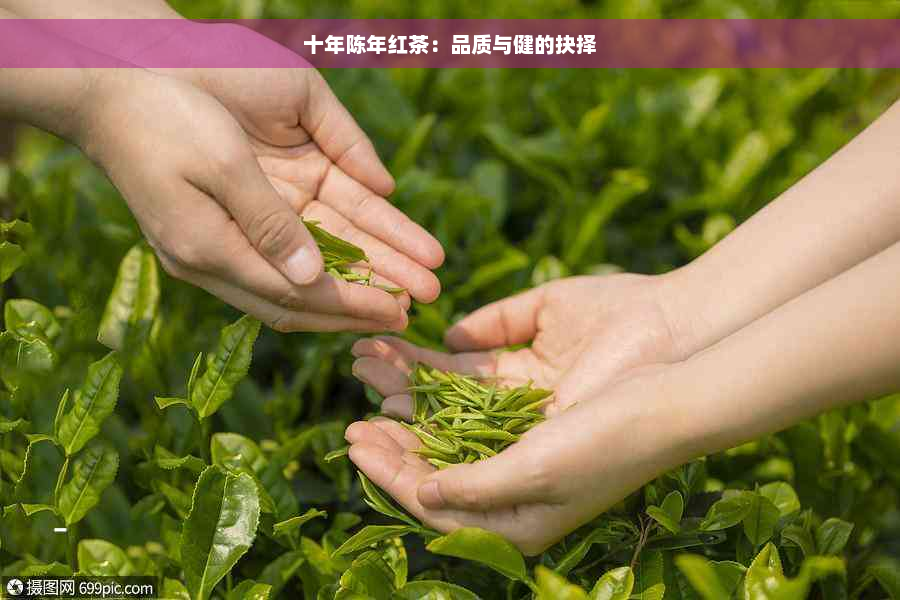 十年陈年红茶：品质与健的抉择