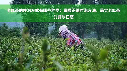 老红茶的冲泡方式有哪些种类：掌握正确冲泡方法，品尝老红茶的醇厚口感