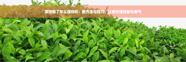 茶饼拆了怎么保存好：新方法与技巧，让茶叶保持新与香气