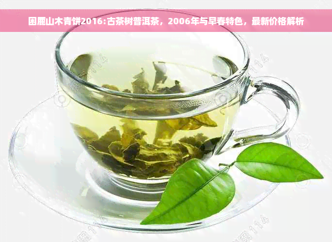 困鹿山木青饼2016:古茶树普洱茶，2006年与早春特色，最新价格解析