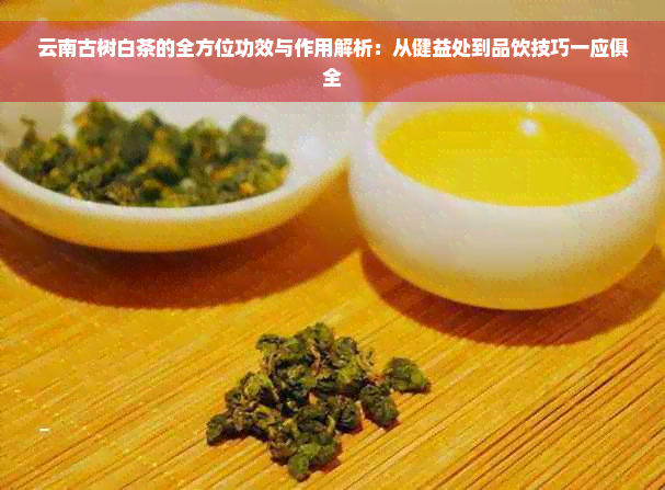 云南古树白茶的全方位功效与作用解析：从健益处到品饮技巧一应俱全