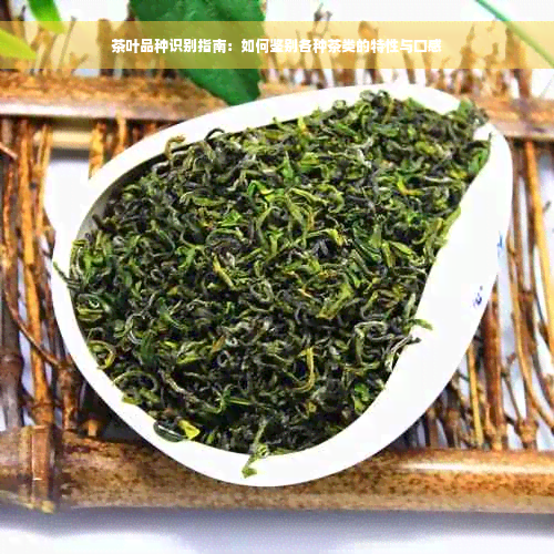 茶叶品种识别指南：如何鉴别各种茶类的特性与口感