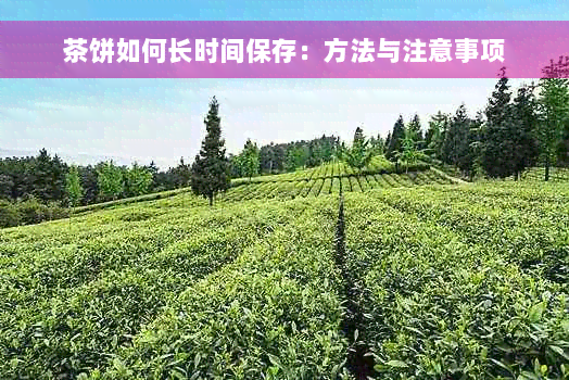 茶饼如何长时间保存：方法与注意事项