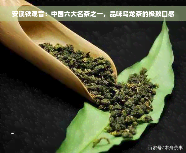 安溪铁观音：中国六大名茶之一，品味乌龙茶的极致口感