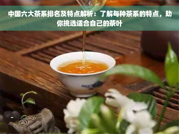 中国六大茶系排名及特点解析：了解每种茶系的特点，助你挑选适合自己的茶叶