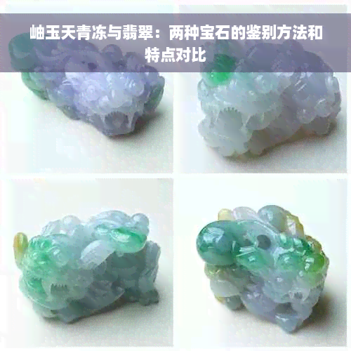 岫玉天青冻与翡翠：两种宝石的鉴别方法和特点对比