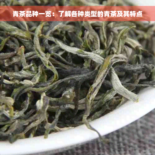 青茶品种一览：了解各种类型的青茶及其特点