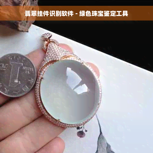 翡翠挂件识别软件 - 绿色珠宝鉴定工具