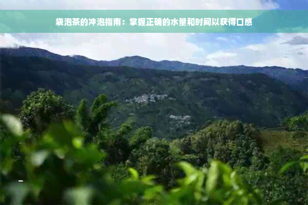 袋泡茶的冲泡指南：掌握正确的水量和时间以获得口感