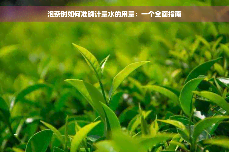 泡茶时如何准确计量水的用量：一个全面指南