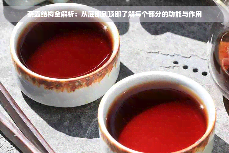 茶壶结构全解析：从底部到顶部了解每个部分的功能与作用